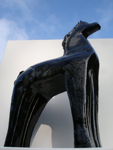 Paard